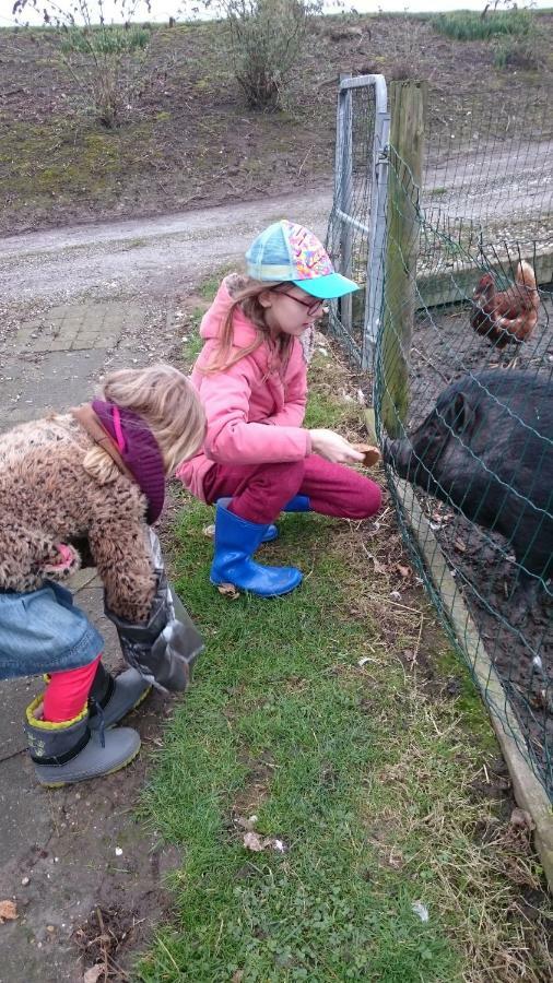 Willa Bie Oans Oefje Lewedorp Zewnętrze zdjęcie